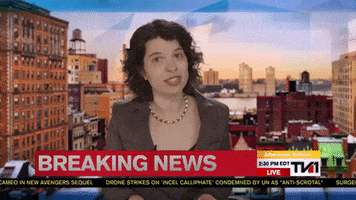 Breaking News Wtf GIF by Mister Bismuth