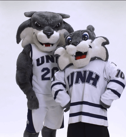 new hampshire wildcats GIF by University of New Hampshire