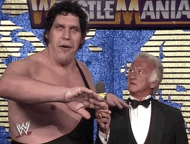 Image result for andre the giant gif