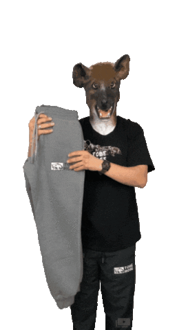 TOBE HOSE Sticker