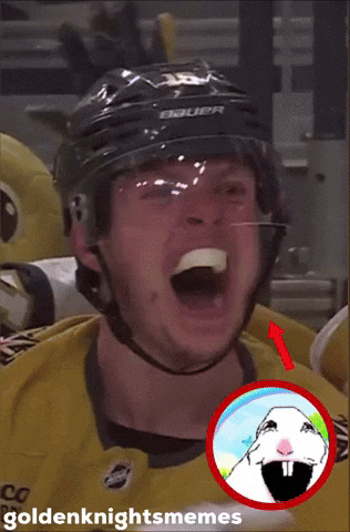 Vegas Golden Knights GIF