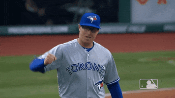 toronto blue jays 2019 baseball GIF by MLB