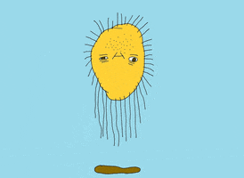 sun GIF by Steven Kraan