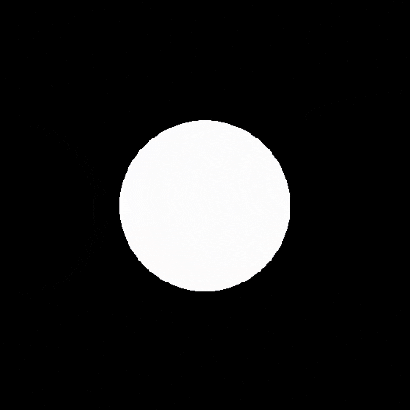 GIF by Palagurmé