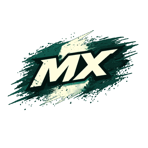 Sport Drive GIF by Federmoto