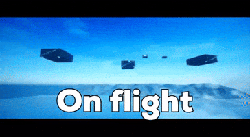 Fly GIF