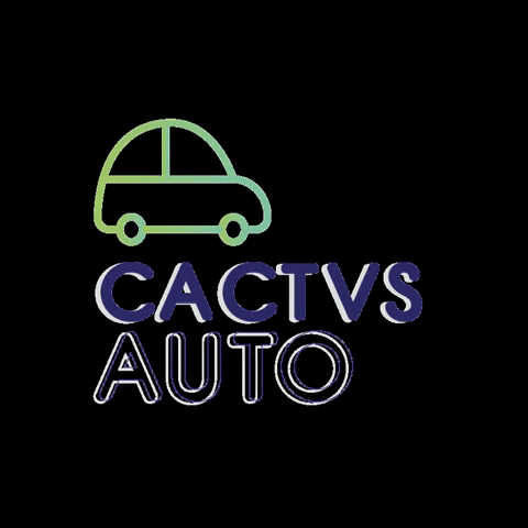 Auto Automovel GIF by Cactvs SA