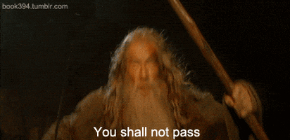 you shall not pass the lord of the rings GIF