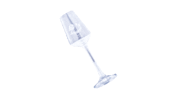 Logo Glas Sticker by Destillerie Schnitzer