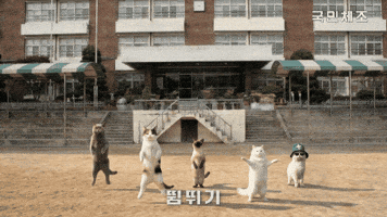 국민체조 GIF
