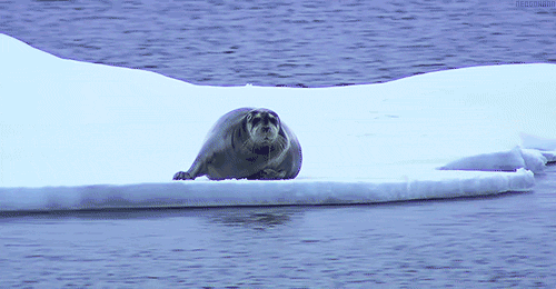 source.gif