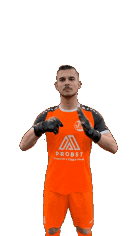 Fight Keeper Sticker by sgschneifel