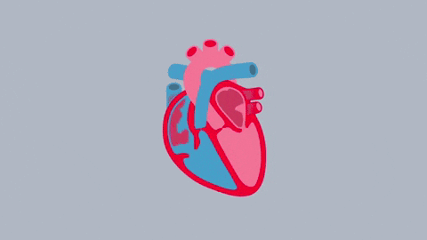 Heart Failure GIF by British Heart Foundation - Find & Share on GIPHY