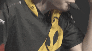heroes of the storm what GIF by dignitas