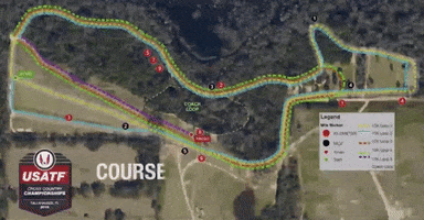 GIF by RunnerSpace.com