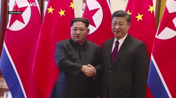China GIF by euronews