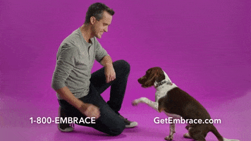 Puppy Dogs GIF by Embrace Pet Insurance