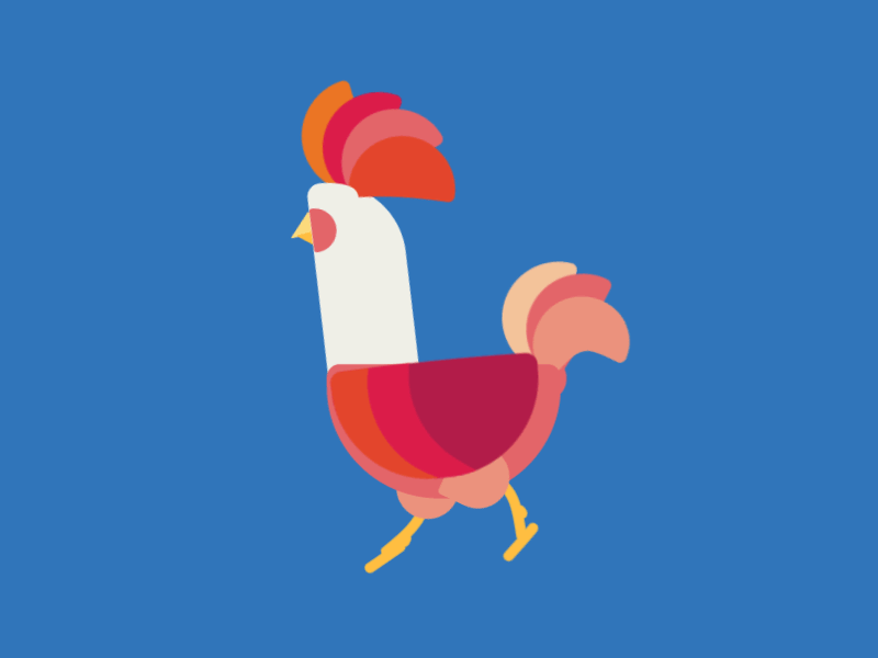 Chicken Walk GIF Find & Share on GIPHY