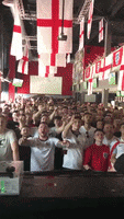 World Cup Fans GIF by nss sports