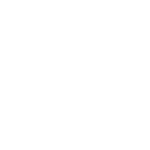 Tour Papeetetour Sticker by Papeetebeach