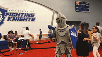 fighting knights dancing GIF by Lynn University Admission