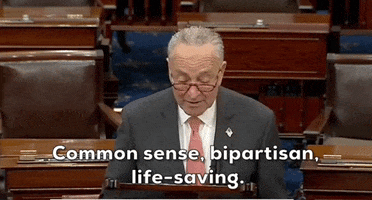 Chuck Schumer Senate GIF by GIPHY News