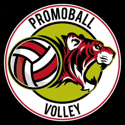 volley fipav GIF by PROMOBALL