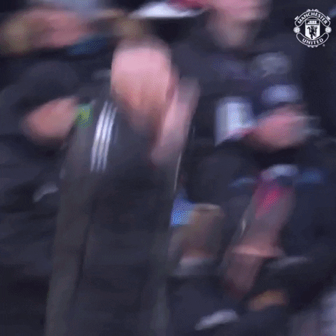 Old Trafford Win GIF by Manchester United