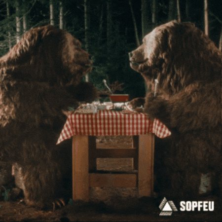 Bear Camping GIF by SOPFEU