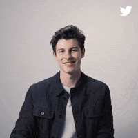 Shawn Mendes GIF by Twitter