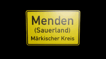 Ju Sauerland GIF by Junge Union Menden