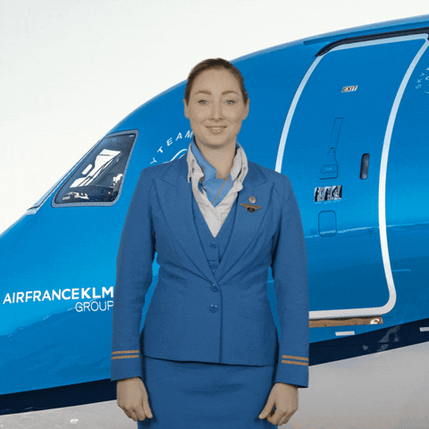 Cabin Crew Thumbs Up GIF by KLM
