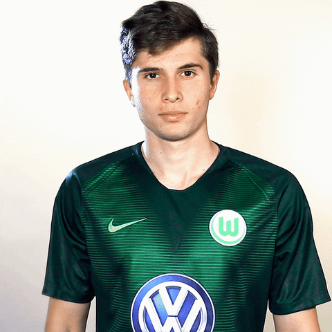 football party GIF by VfL Wolfsburg