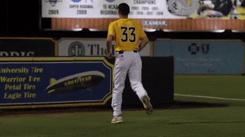 golden eagles baseball GIF by Southern Miss Athletics