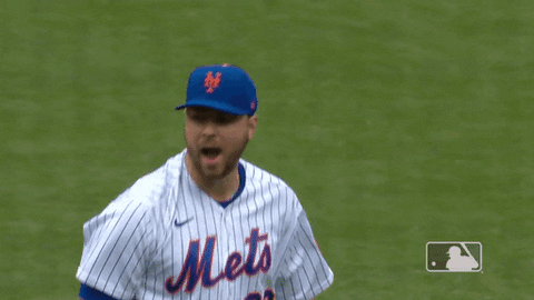 Ny Mets Baseball GIF by New York Mets - Find & Share on GIPHY