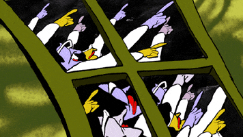 Point Window GIF by Jamie Wolfe
