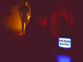 The Room Art GIF