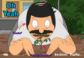 Beebs GIF