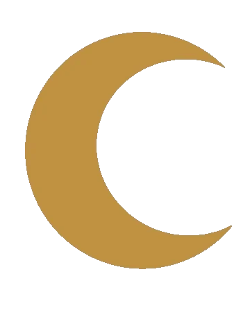 giphy.webp?cid=ecf05e47k304uelflov4cu7mj5nnbam92d1d5fd171xt6ebv&rid=giphy.webp&ct=s