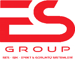 Es Group Sticker