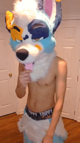 Furries GIF