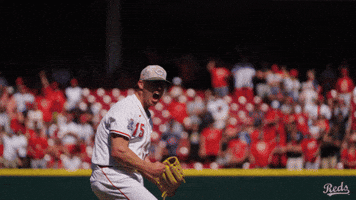 Celebration Yell GIF by Cincinnati Reds