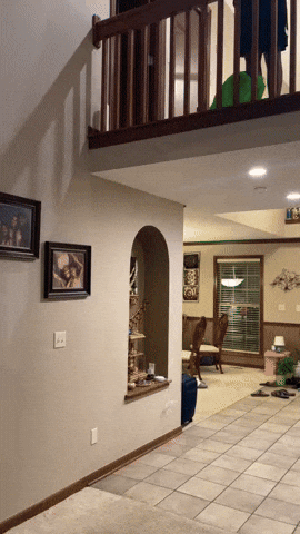 Haslett GIF