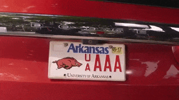 University Of Arkansas Hogs GIF by Arkansas Alumni Association