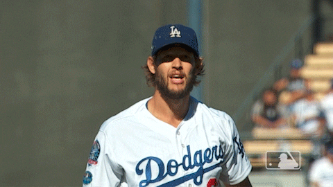 los angeles dodgers smh GIF by MLB