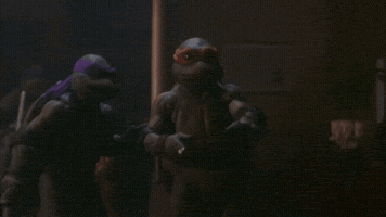 Teenage Mutant Ninja Turtles Mikey GIF
