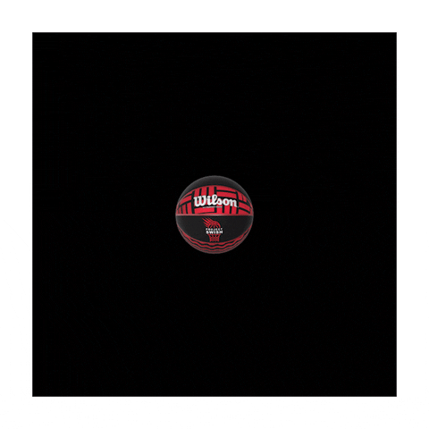 Wilson Spinningball GIF by Basketball England