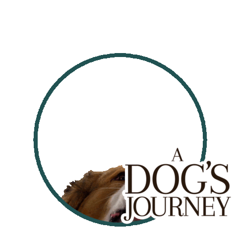 Universal Pictures Dog Sticker by A Dog's Journey