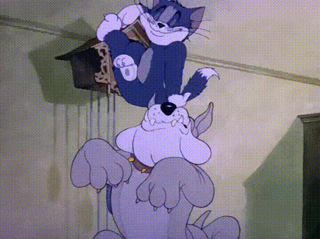 giphy.gif?cid=790b76111a25a1e5a081377838