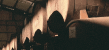 GIF by Willem's Wermoed